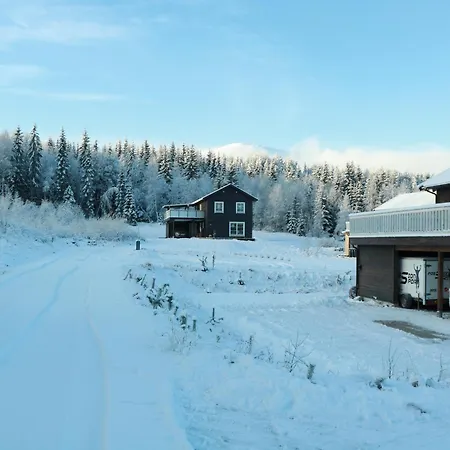 Trysil Central Villa Apartamento *