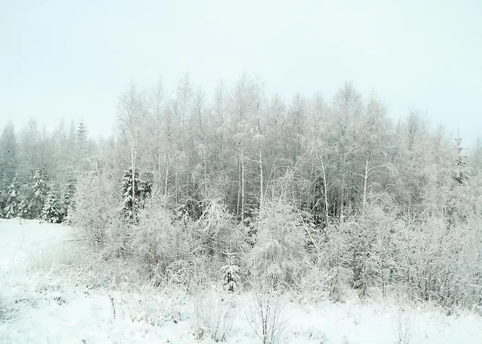 Apartment Trysil Central Villa Trysil